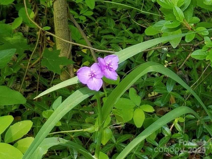 3333 Roberta Road, Concord, NC 28027.  MLS# CAR4325071, YatesRealty ID 2096. 