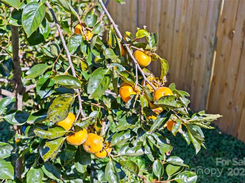 2553 Elkwood Circle, Charlotte, NC 28205.  MLS# CAR4316407, YatesRealty ID 20971. 