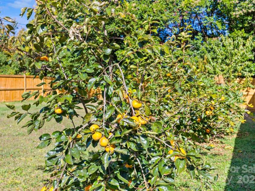 2553 Elkwood Circle, Charlotte, NC 28205.  MLS# CAR4316407, YatesRealty ID 20971. 