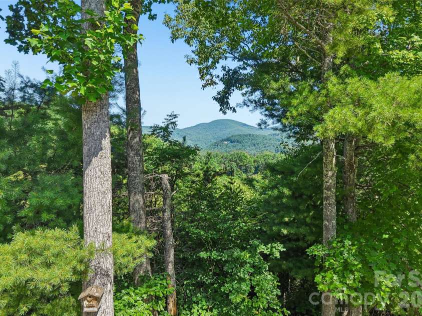 959 Silverglen Way, Hendersonville, NC 28792.  MLS# CAR4397996, YatesRealty ID 21071. Trees can be cleared for an even more expansive view!