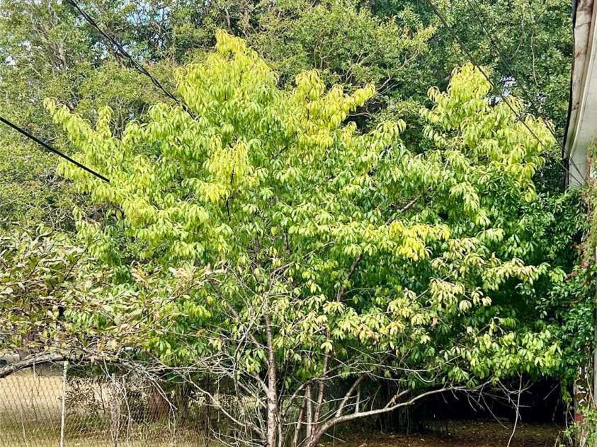 407 Chester Avenue, Great Falls, SC 29055.  MLS# CAR4314272, YatesRealty ID 211. 