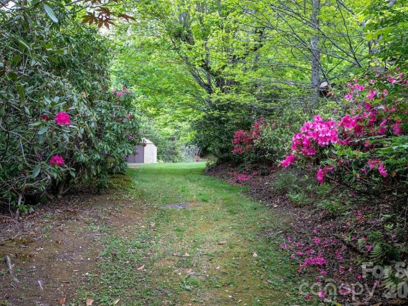 520 Blythe Road, Pisgah Forest, NC 28768.  MLS# CAR4370794, YatesRealty ID 21111. Spring Blooms
