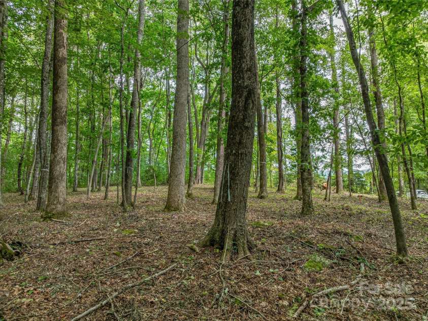 644 Walnut Valley Parkway, Arden, NC 28704.  MLS# CAR4327022, YatesRealty ID 2113. 