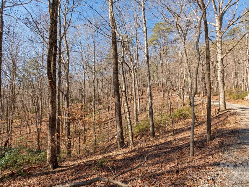 247 Skyuka Mountain Road, Columbus, NC 28722.  MLS# CAR4215183, YatesRealty ID 2114. 