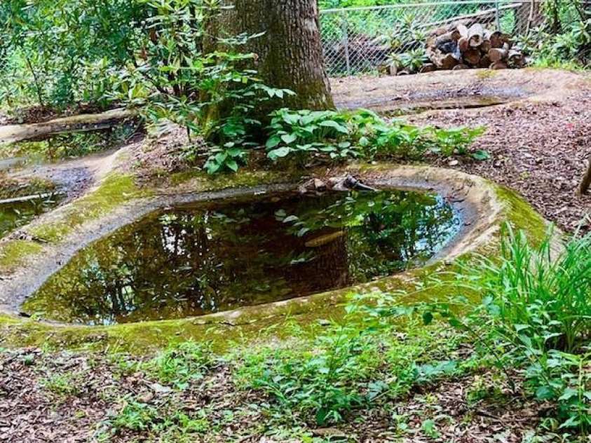 5 Old Cove Road, Black Mountain, NC 28711.  MLS# CAR4263653, YatesRealty ID 21143. 3 Reflection Ponds