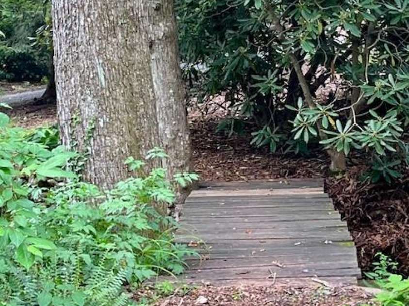 5 Old Cove Road, Black Mountain, NC 28711.  MLS# CAR4263653, YatesRealty ID 21143. Footbridge