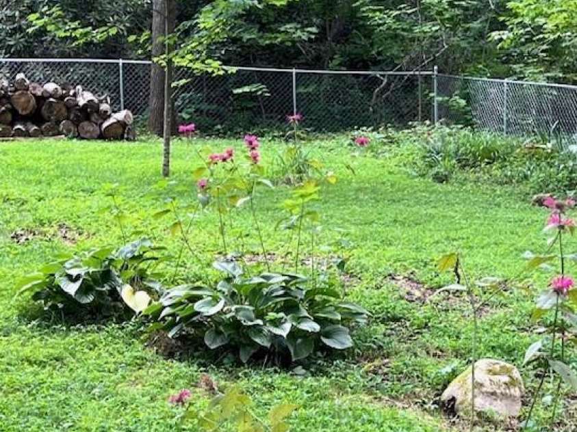 5 Old Cove Road, Black Mountain, NC 28711.  MLS# CAR4263653, YatesRealty ID 21143. Private Fenced Yard