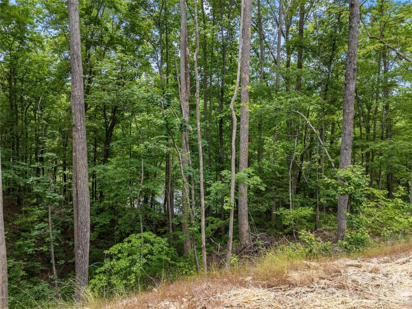 16 Forest Drive, Travelers Rest, SC 29690.  MLS# CAR4315401, YatesRealty ID 21165. 