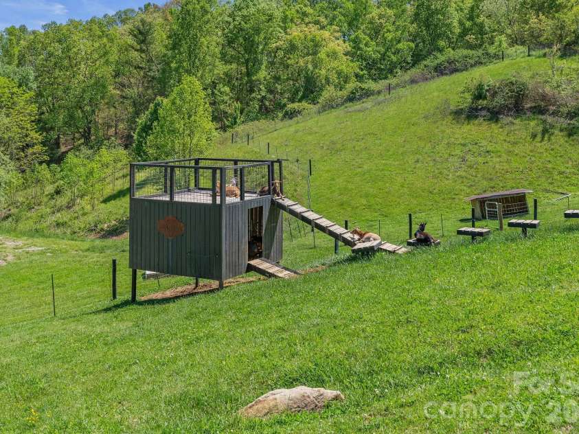 13 Tulip Poplar Trail, Asheville, NC 28804.  MLS# CAR4352728, YatesRealty ID 21170. Farm chickens