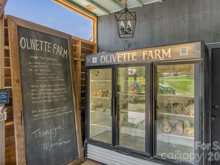 13 Tulip Poplar Trail, Asheville, NC 28804.  MLS# CAR4352728, YatesRealty ID 21170. Olivette farm store