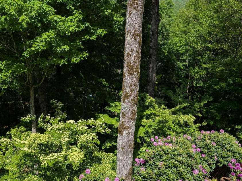 421 Ramp Patch Lane, Waynesville, NC 28786.  MLS# CAR4257466, YatesRealty ID 21184. 