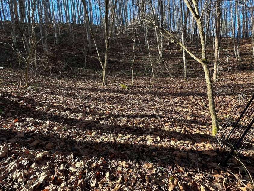 12982 US Hwy 19W None, Burnsville, NC 28714.  MLS# CAR4234088, YatesRealty ID 21243. 62 acres of Appalachian Mountains!