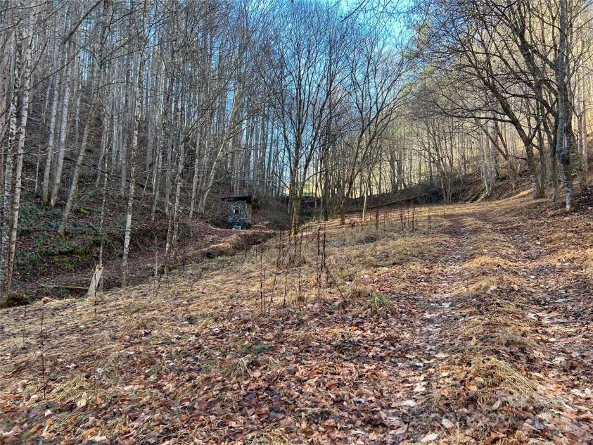 12982 US Hwy 19W None, Burnsville, NC 28714.  MLS# CAR4234088, YatesRealty ID 21243. Great buildable spots on the 62 acres