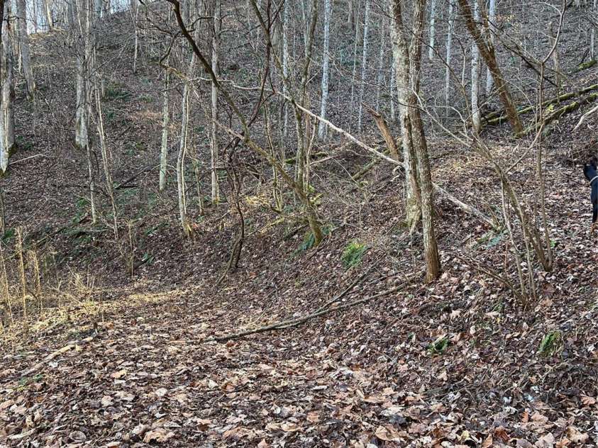 12982 US Hwy 19W None, Burnsville, NC 28714.  MLS# CAR4234088, YatesRealty ID 21243. Logging roads for Atv or hiking trails.