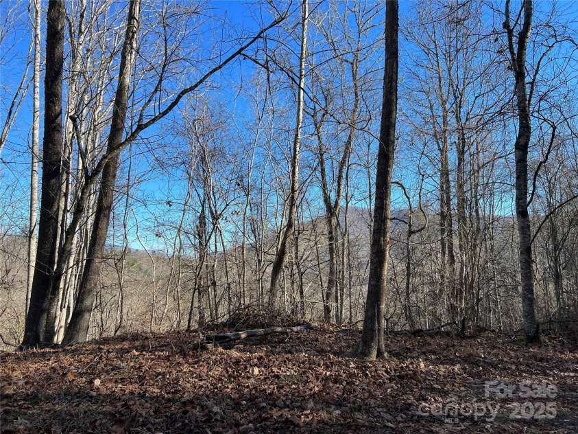 12982 US Hwy 19W None, Burnsville, NC 28714.  MLS# CAR4234088, YatesRealty ID 21243. Winter views from land. Possible year round views.