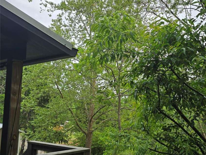 105 Annies Ridge Road, Asheville, NC 28804.  MLS# CAR4234798, YatesRealty ID 21245. 