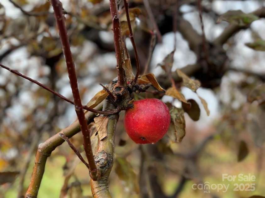 37 Bittersweet Drive, Hendersonville, NC 28792.  MLS# CAR4324808, YatesRealty ID 21247. 