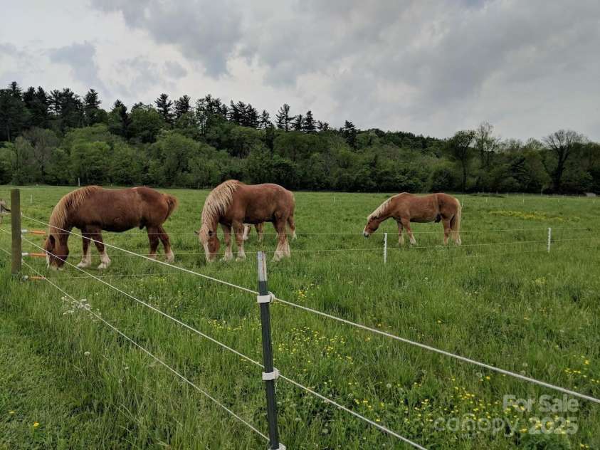 37 Bittersweet Drive, Hendersonville, NC 28792.  MLS# CAR4324808, YatesRealty ID 21247. 