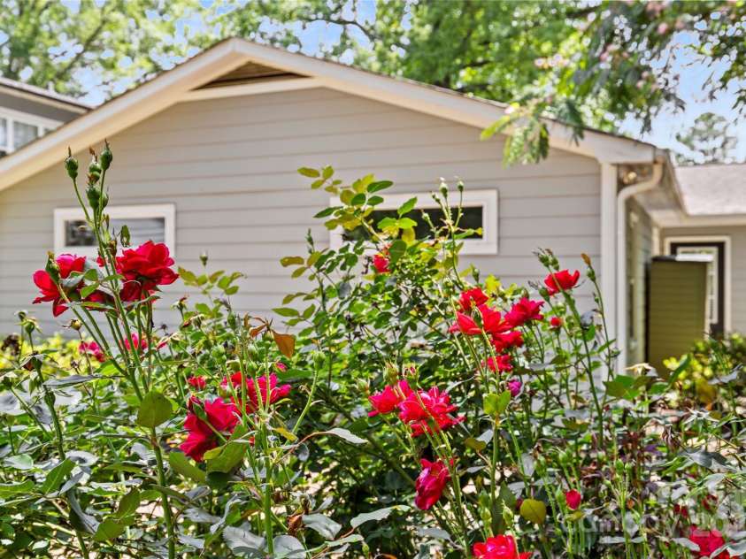 2813 Hilliard Drive, Charlotte, NC 28205.  MLS# CAR4266420, YatesRealty ID 21273. 