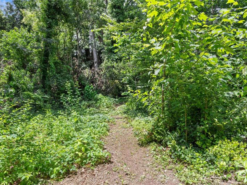 2813 Hilliard Drive, Charlotte, NC 28205.  MLS# CAR4266420, YatesRealty ID 21273. 