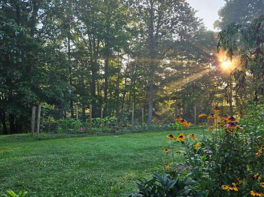 649 Upper Bailey Branch Road, Mars Hill, NC 28754.  MLS# CAR4344210, YatesRealty ID 21284. Fenced in organic garden