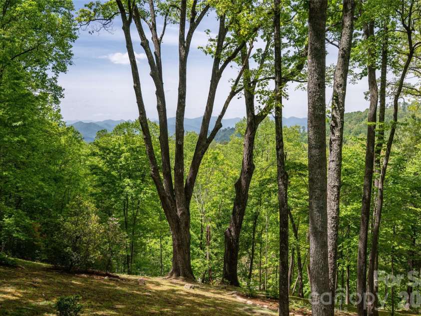 15 Hunters Way, Asheville, NC 28804.  MLS# CAR4379041, YatesRealty ID 21313. 