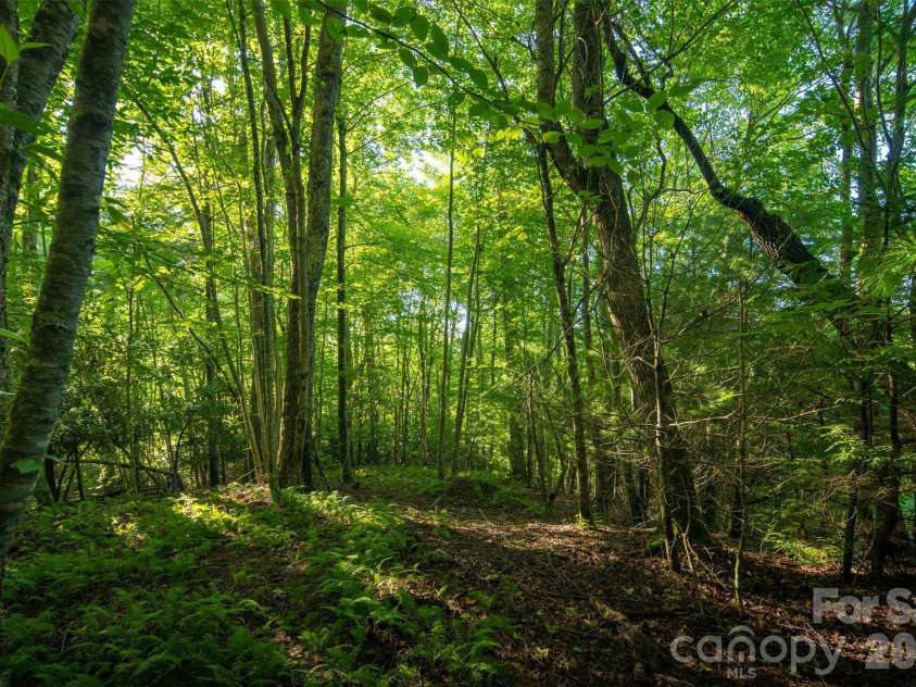 TBD Boulder Creek Drive, Boone, NC 28607.  MLS# CAR4294530, YatesRealty ID 2132. 