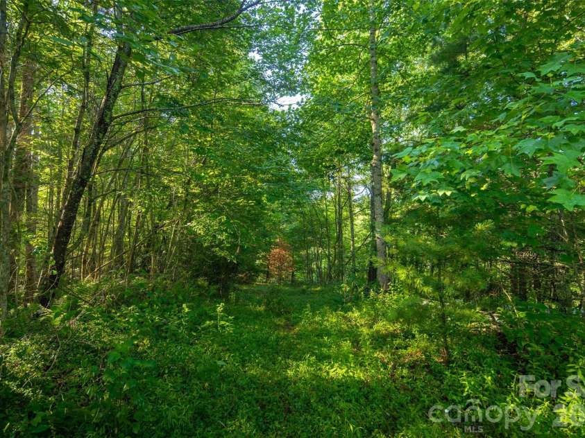 TBD Boulder Creek Drive, Boone, NC 28607.  MLS# CAR4294530, YatesRealty ID 2132. 