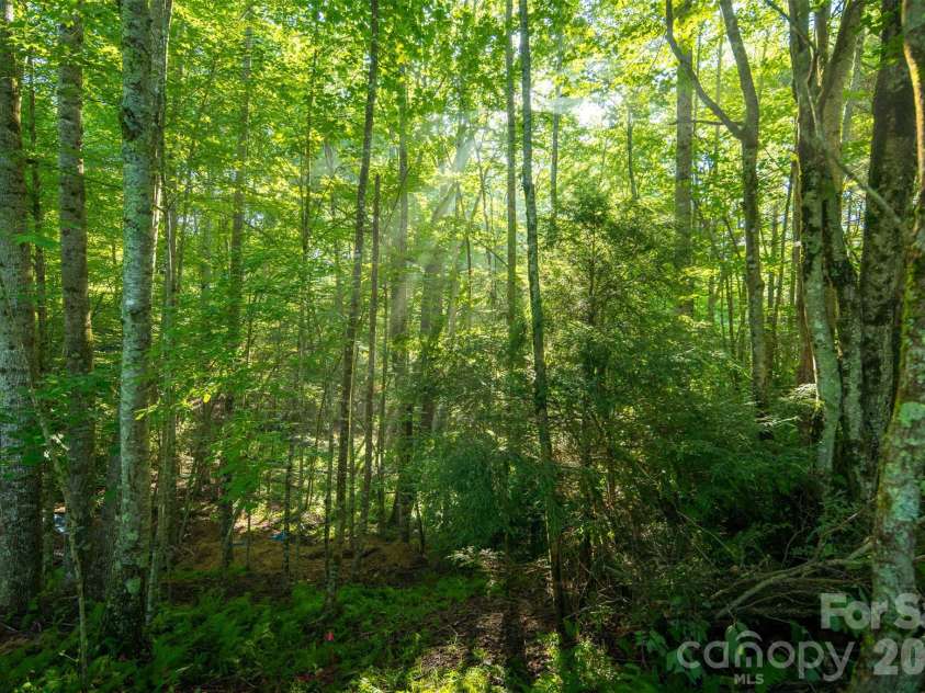 TBD Boulder Creek Drive, Boone, NC 28607.  MLS# CAR4294530, YatesRealty ID 2132. 