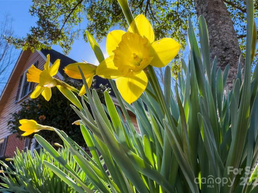 133 Persimmon Creek Road, Kings Mountain, NC 28086.  MLS# CAR4226480, YatesRealty ID 2136. 