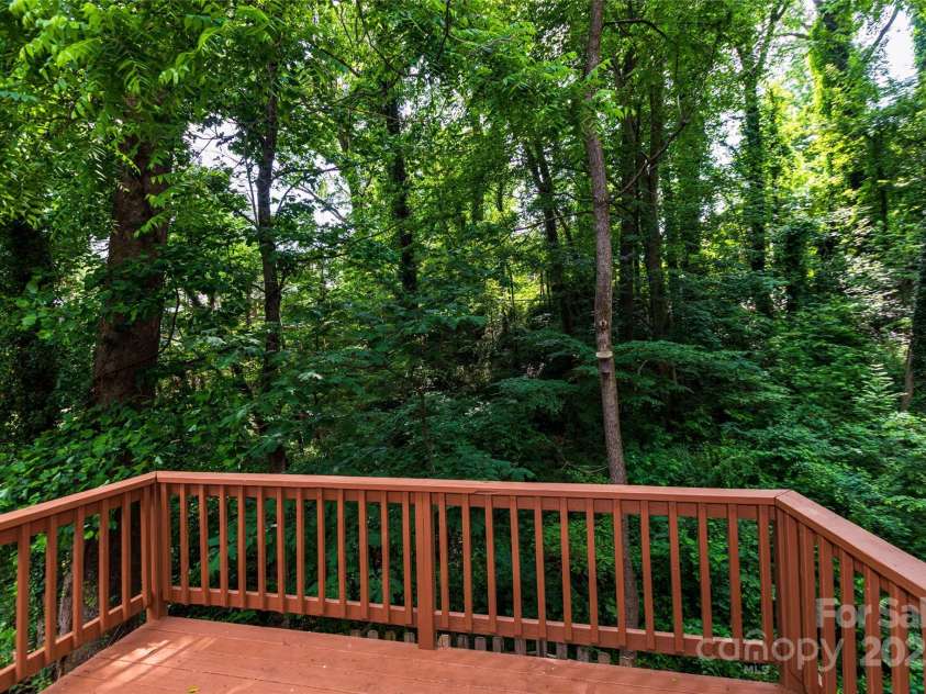 13 Castle Street, Asheville, NC 28803.  MLS# CAR4278006, YatesRealty ID 2138. Open Back Deck
