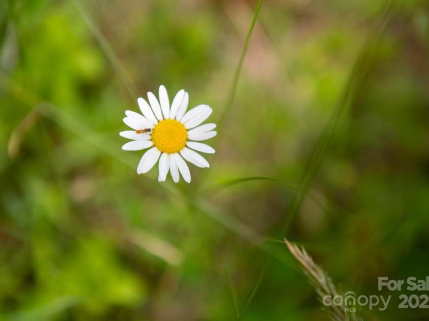 2023 White Springs Lane, Lenoir, NC 28645.  MLS# CAR4266812, YatesRealty ID 21383. 