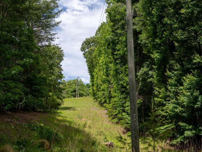 2023 White Springs Lane, Lenoir, NC 28645.  MLS# CAR4266812, YatesRealty ID 21383. 