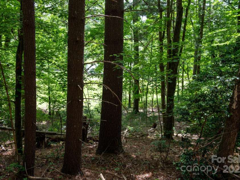 2023 White Springs Lane, Lenoir, NC 28645.  MLS# CAR4266812, YatesRealty ID 21383. 