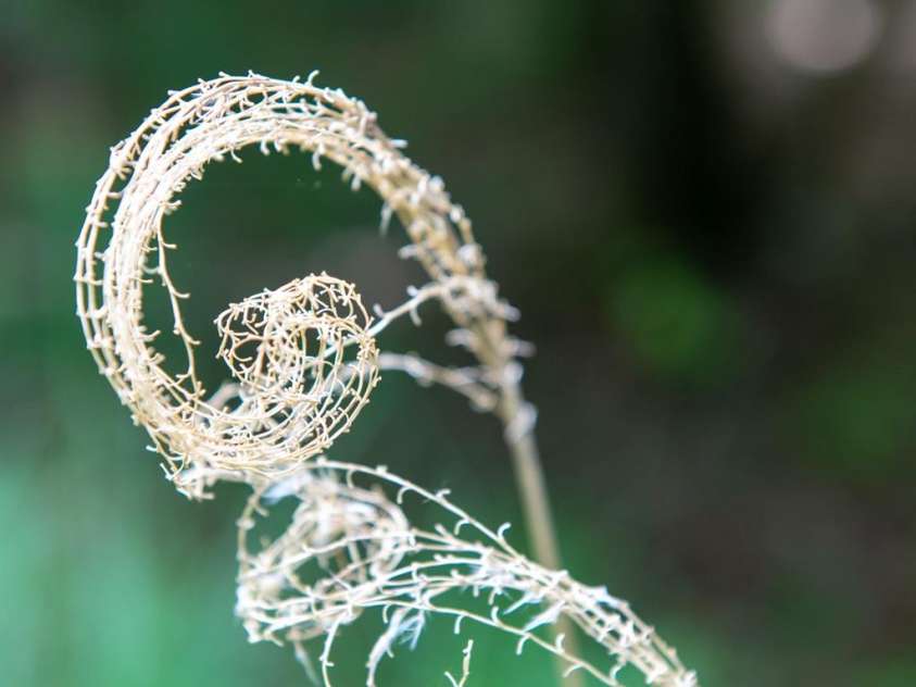 2023 White Springs Lane, Lenoir, NC 28645.  MLS# CAR4266812, YatesRealty ID 21383. 