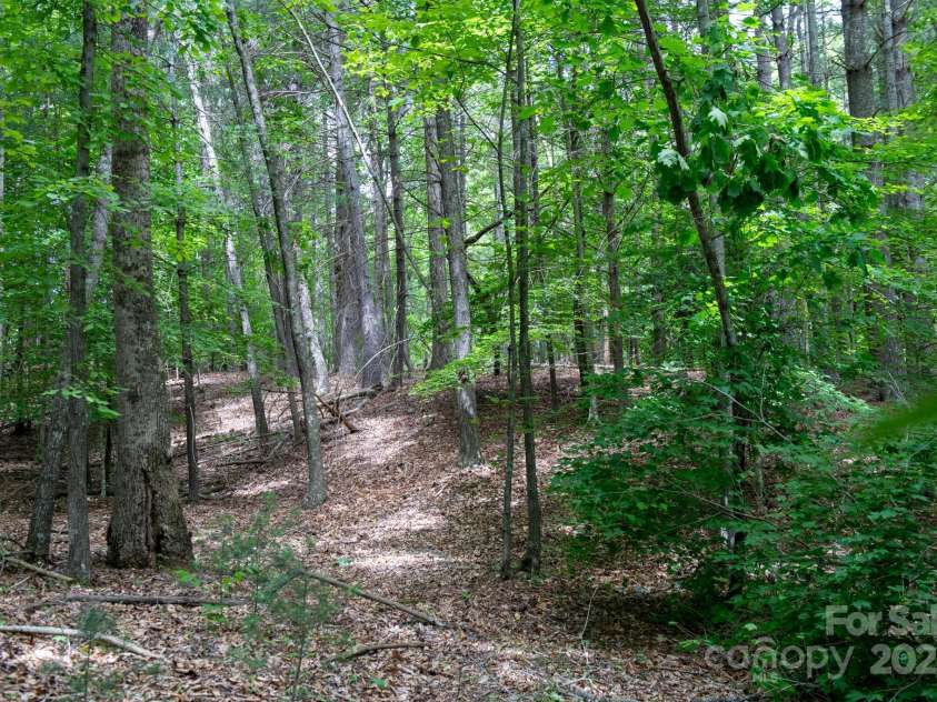 2023 White Springs Lane, Lenoir, NC 28645.  MLS# CAR4266812, YatesRealty ID 21383. 