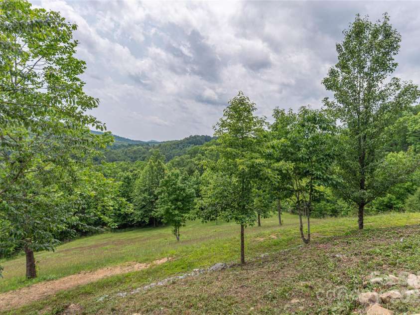 930 Big Raven Lane, Saluda, NC 28773.  MLS# CAR4270163, YatesRealty ID 21407. Spot deer, turkeys, and other wildlife from the comfort of the deck