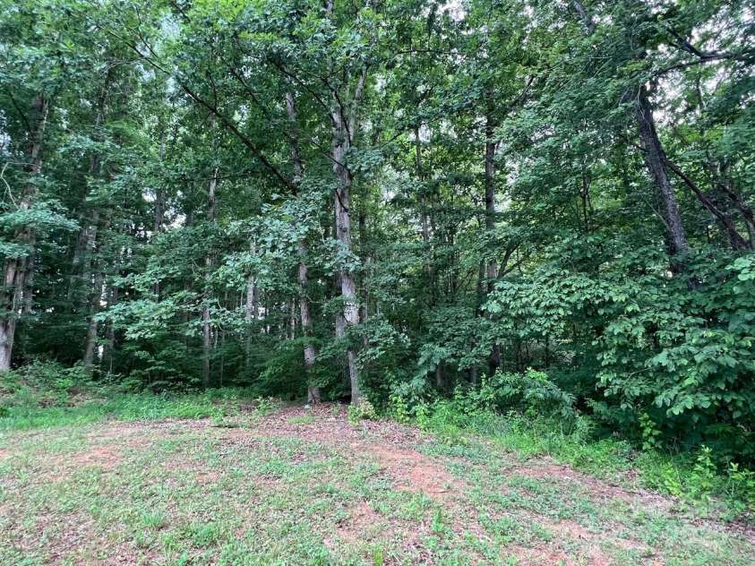 6581 Emerald Isle Drive, Sherrills Ford, NC 28673.  MLS# CAR4277382, YatesRealty ID 2141. Side yard