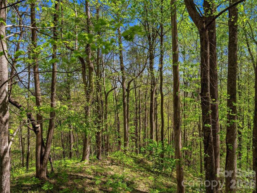 3167 Lumptown Road, Marshall, NC 28753.  MLS# CAR4375493, YatesRealty ID 21411. 