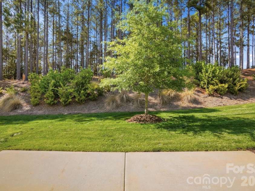 21220 Sanctuary Drive, Lancaster, SC 29720.  MLS# CAR4378601, YatesRealty ID 21413. Wooded Backyard
