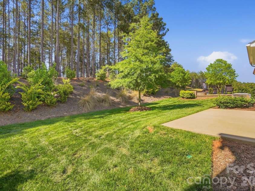 21220 Sanctuary Drive, Lancaster, SC 29720.  MLS# CAR4378601, YatesRealty ID 21413. Wooded Backyard