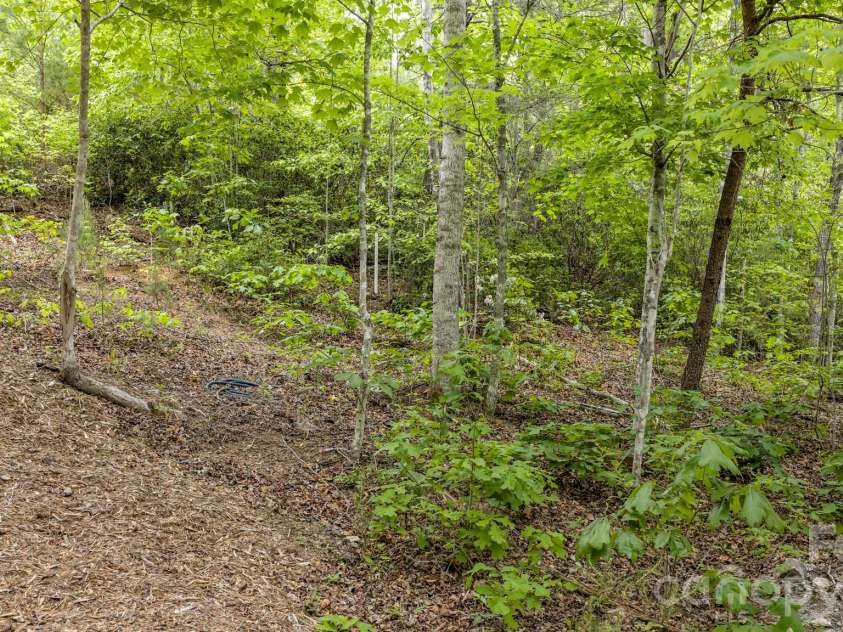 286 Holmstead Drive, Lake Lure, NC 28746.  MLS# CAR4366209, YatesRealty ID 21437. 