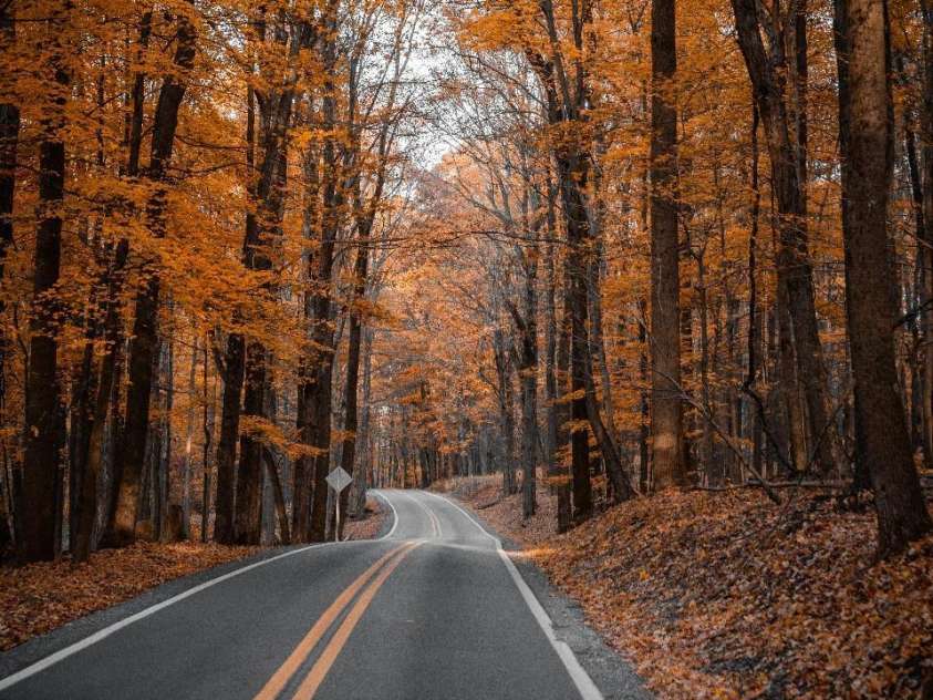 21 Byrd Lane, Brevard, NC 28712.  MLS# CAR4302808, YatesRealty ID 2144. 