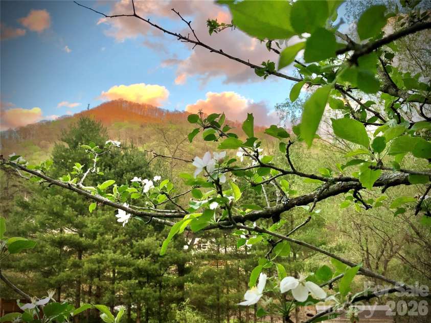 3 Taproot Trail, Barnardsville, NC 28709.  MLS# CAR4361662, YatesRealty ID 21454. 