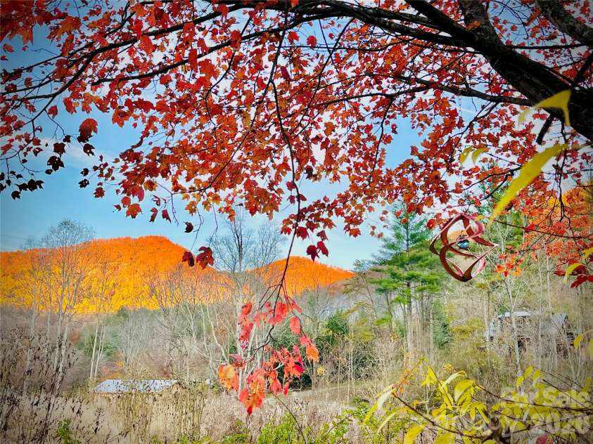 3 Taproot Trail, Barnardsville, NC 28709.  MLS# CAR4361662, YatesRealty ID 21454. 