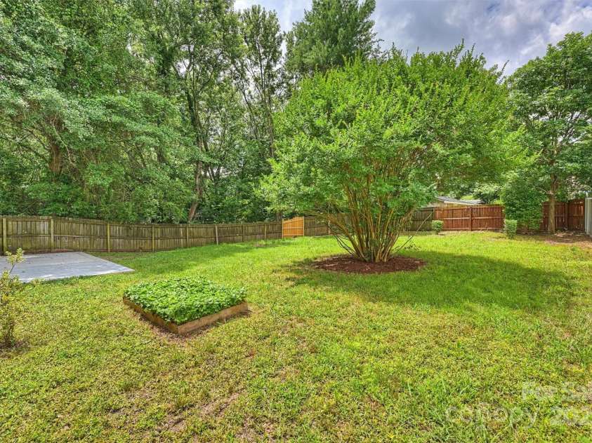 11539 Five Cedars Road, Charlotte, NC 28226.  MLS# CAR4271539, YatesRealty ID 21472. Backyard
