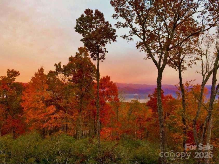 156 & 152 Tarah Lane, Pisgah Forest, NC 28768.  MLS# CAR4314525, YatesRealty ID 2148. 