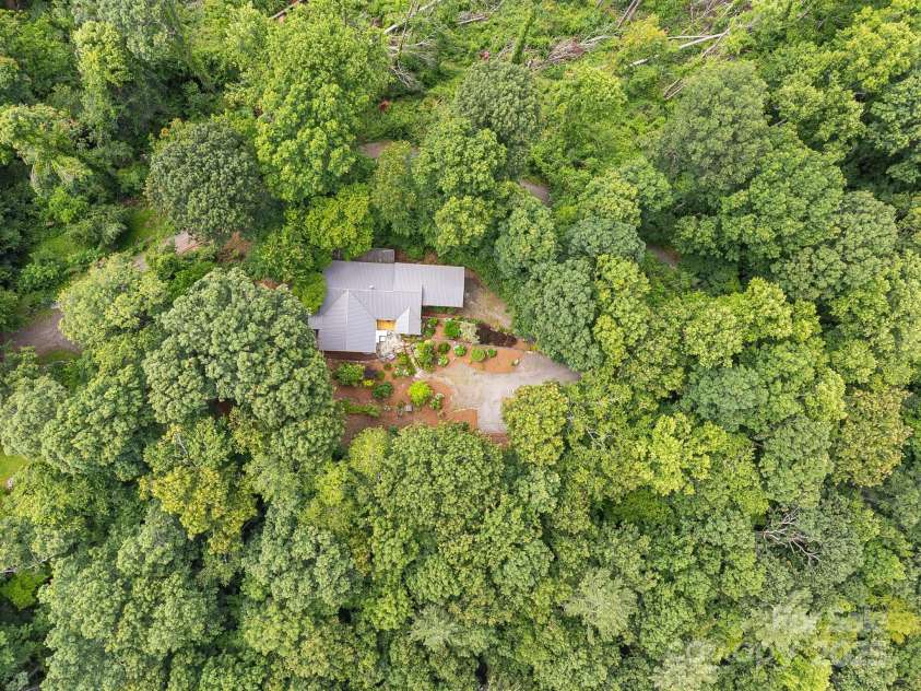 90 Reed Road, Asheville, NC 28805.  MLS# CAR4271385, YatesRealty ID 21485. Incredible Gardens * Wooded Privacy