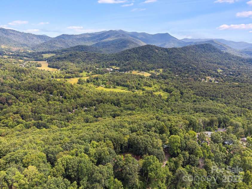 90 Reed Road, Asheville, NC 28805.  MLS# CAR4271385, YatesRealty ID 21485. Stunning Location