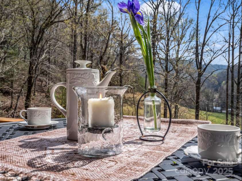 107 Twisted Birch Drive, Hendersonville, NC 28792.  MLS# CAR4328960, YatesRealty ID 2150. 